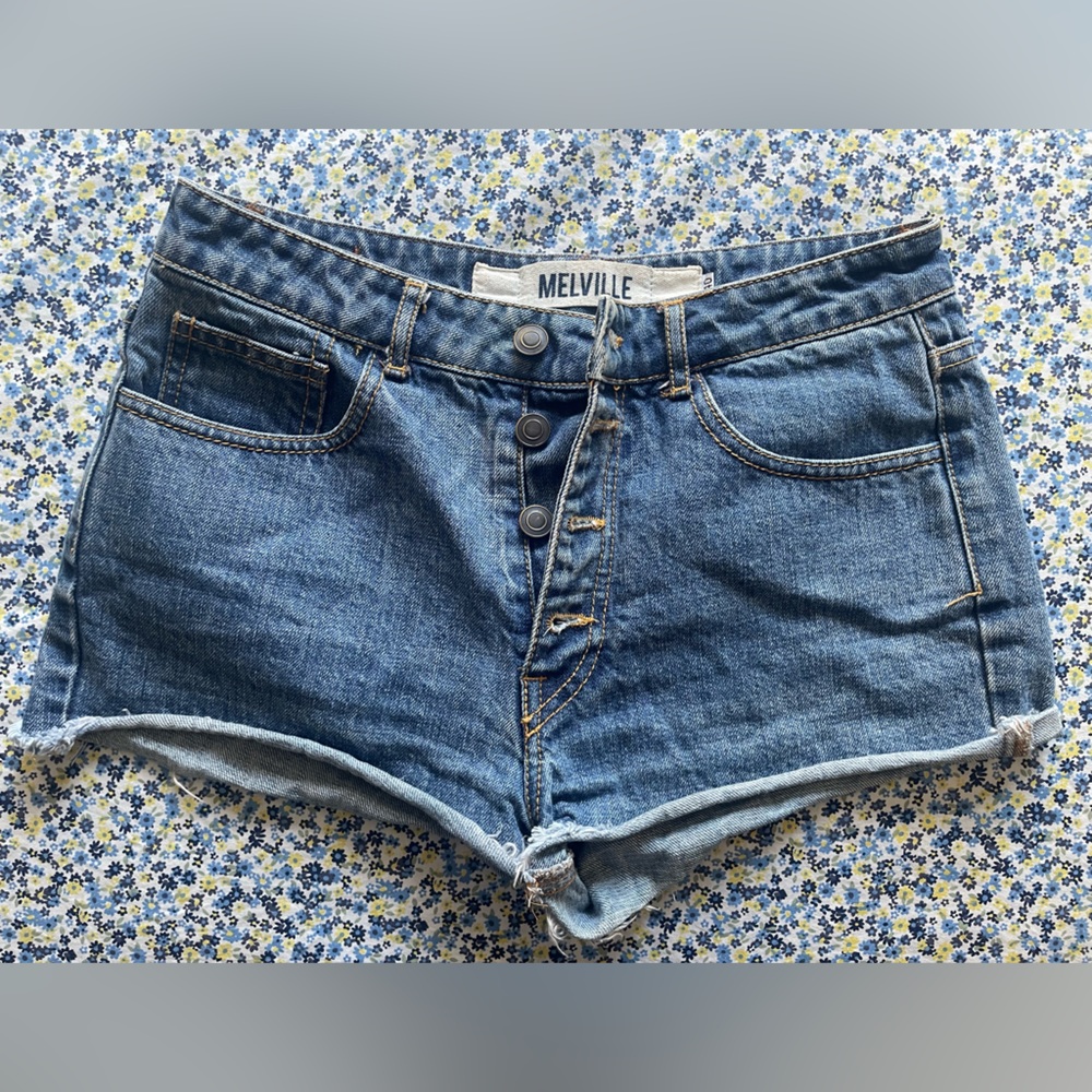 Brandy Melville High Rise Blue Denim Shorts